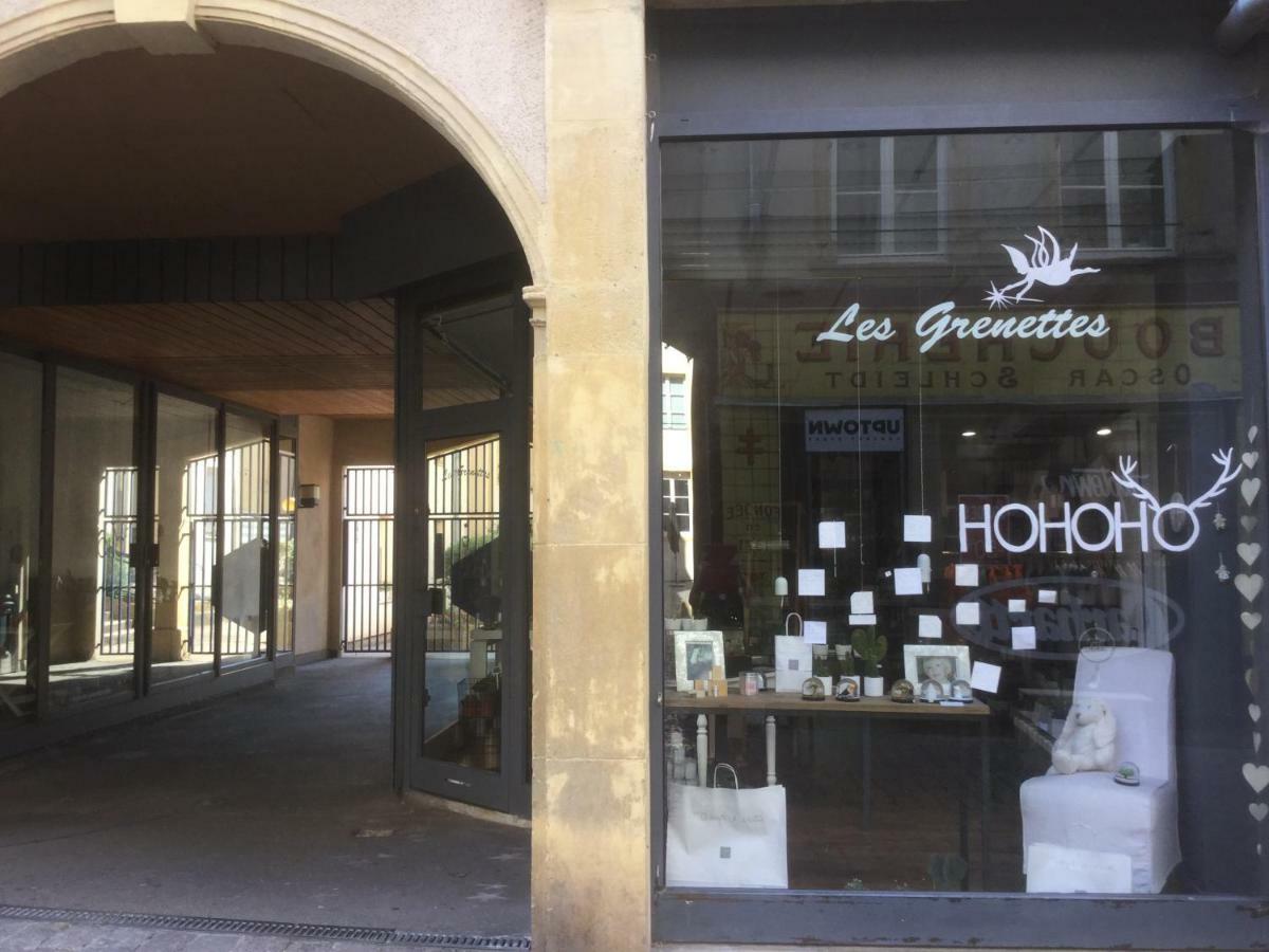 Appartement Les grenettes2 à Metz Extérieur photo