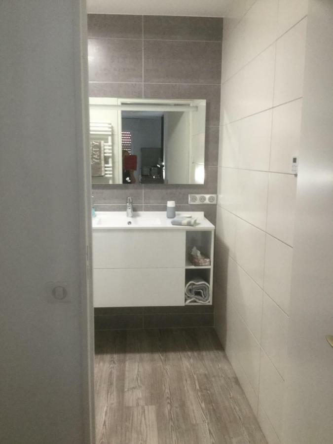 Appartement Les grenettes2 à Metz Extérieur photo