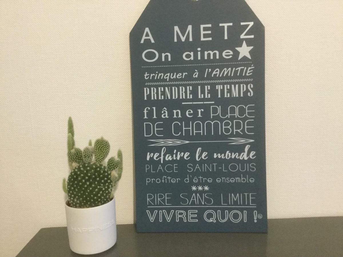 Appartement Les grenettes2 à Metz Extérieur photo